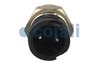 COMUTATOR, LAMPA FRANA COJALI 2260365 - Piesa auto compatibila cu mai multe marci
