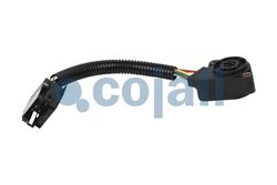SENZOR PEDALA ACCELERATIE COJALI 2260369 - Piesa auto compatibila cu mai multe marci