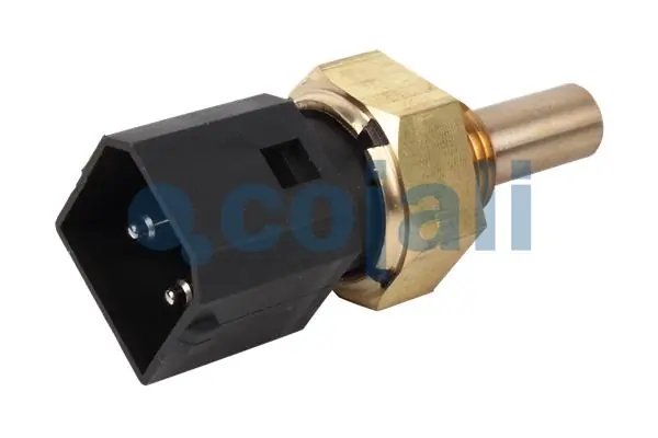 Senzor Cojali 2260390