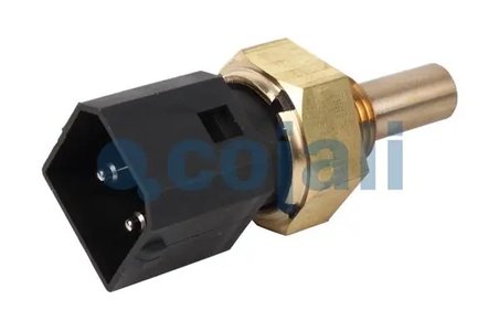 Senzor Cojali 2260390