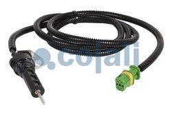INDICATOR UZURA, PLACUTE FRANA COJALI 2260562 - Piesa auto compatibila cu mai multe marci