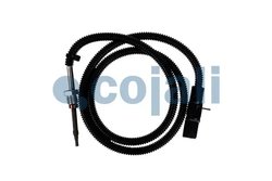 SENZOR TEMPERATURA GAZE EVACUARE COJALI 2260781 - Piesa auto compatibila cu mai multe marci