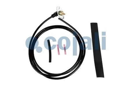 Senzor Cojali 2260876