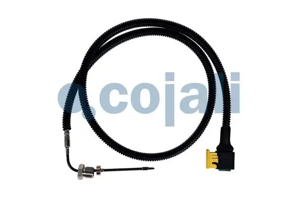 Senzor temperatura gaze evacuare Cojali 2260884