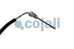 Senzor temperatura gaze evacuare Cojali 2260884