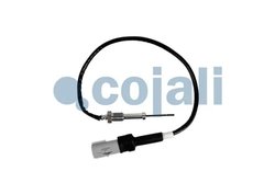Senzor temperatura gaze evacuare Cojali 2262006