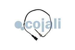 Senzor temperatura gaze evacuare Cojali 2262016