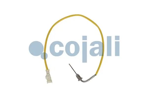 SENZOR TEMPERATURA GAZE EVACUARE COJALI 2262019 - Piesa auto compatibila cu mai multe marci