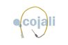 SENZOR TEMPERATURA GAZE EVACUARE COJALI 2262019 - Piesa auto compatibila cu mai multe marci
