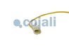 SENZOR TEMPERATURA GAZE EVACUARE COJALI 2262019 - Piesa auto compatibila cu mai multe marci