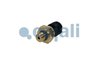 SENZOR PRESIUNE ULEI COJALI 2262032 - Piesa auto compatibila cu mai multe marci