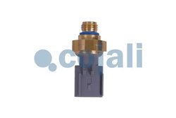 SENZOR PRESIUNE GAZE EVACUARE COJALI 2262035 - Piesa auto compatibila cu mai multe marci
