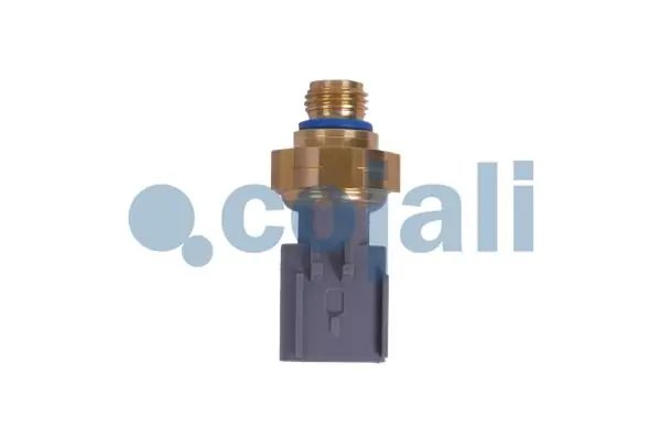 Senzor presiune gaze evacuare Cojali 2262035