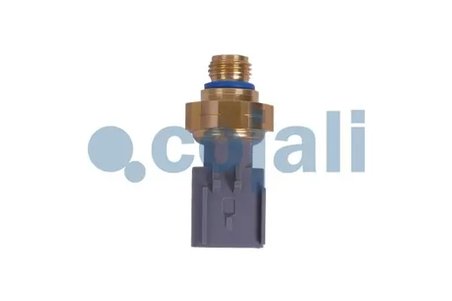 Senzor presiune gaze evacuare Cojali 2262035