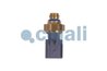Senzor presiune gaze evacuare Cojali 2262035