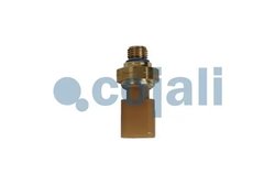 Senzor Cojali 2262049