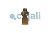 SENZOR COJALI 2262049 - Piesa auto compatibila cu mai multe marci