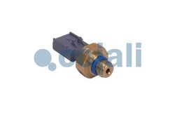 Senzor presiune gaze evacuare Cojali 2262035