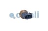 Senzor presiune gaze evacuare Cojali 2262035