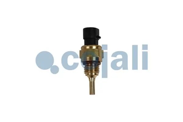 SENZOR TEMPERATURA LICHID RACIRE COJALI 2262054 - Piesa auto compatibila cu mai multe marci