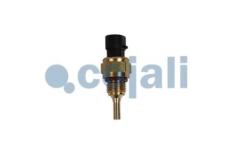 SENZOR TEMPERATURA LICHID RACIRE COJALI 2262054 - Piesa auto compatibila cu mai multe marci
