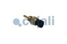 SENZOR TEMPERATURA LICHID RACIRE COJALI 2262054 - Piesa auto compatibila cu mai multe marci