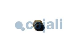 SENZOR TEMPERATURA LICHID RACIRE COJALI 2262054 - Piesa auto compatibila cu mai multe marci