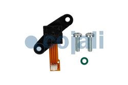 Senzor Cojali 2262081