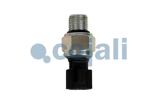 Senzor Cojali 2263002