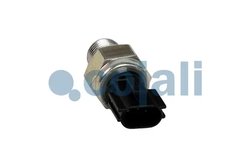 Senzor Cojali 2263002