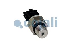 Senzor Cojali 2263002