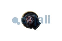 Senzor presiune ulei Cojali 2263024