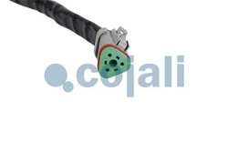 Senzor Cojali 2263033