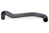 Furtun radiator IMPERGOM 227716