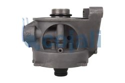 Uscator aer compresor Cojali 2310635