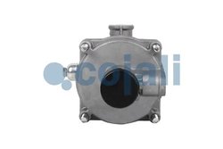 RELEU, ALB COJALI 2320218 - Piesa auto compatibila cu mai multe marci