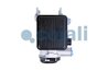 Supapa control remorca Cojali 2333006