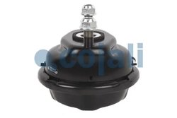 Cilindru receptor frana cu membrana Cojali 2351301