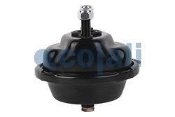 Cilindru receptor frana cu membrana Cojali 2351302