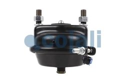 Cilindru receptor frana cu membrana Cojali 2351311