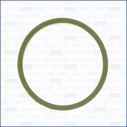 GARNITURA GALERIE ADMISIE AJUSA 24021300 - Compatibil cu SEAT, SKODA, VW
