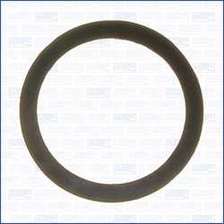 GARNITURA GALERIE ADMISIE AJUSA 24021600 - Piesa auto compatibila cu mai multe marci