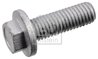 Surub Febi Bilstein 24362