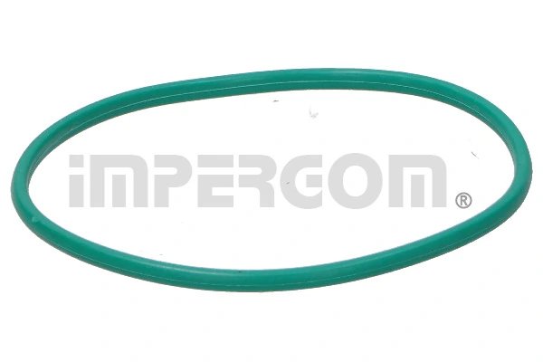 Garnitura, pompa combustibil IMPERGOM 25207