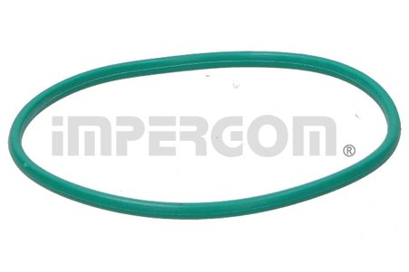 Garnitura, pompa combustibil IMPERGOM 25207