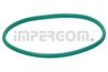 Garnitura, pompa combustibil IMPERGOM 25207