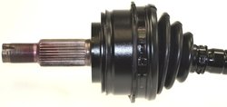 Planetara Spidan 25261