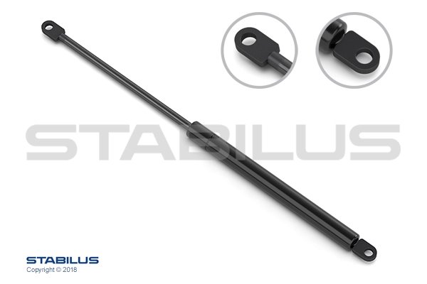 AMORTIZOR STABILUS 252859 - Compatibil cu BMW