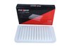 FILTRU AER MAXGEAR 26-2365 - Compatibil cu OPEL, SUZUKI