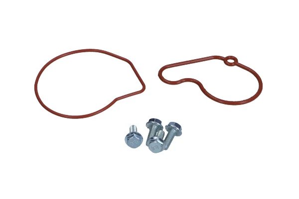 SET REPARATIE, POMPA VACUUM (SISTE FRANA) MAXGEAR 27-2017 - Compatibil cu AUDI, SEAT, SKODA, VW